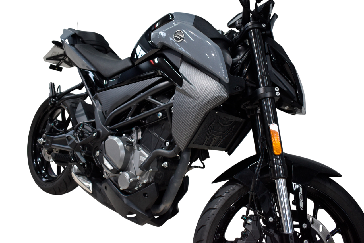 Imagen de CFMOTO 300 NK E5